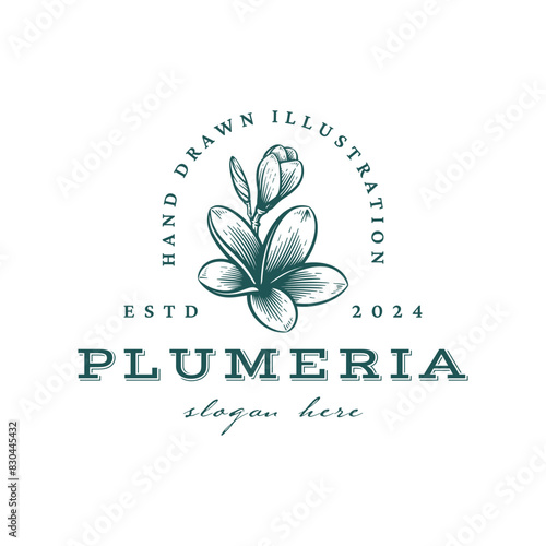 Hand Drawn Frangipani or Plumeria Flower Logo, Floral Emblem Design