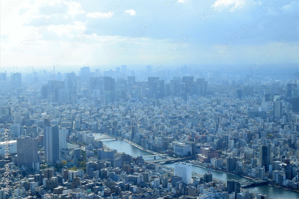 Fototapeta premium 東京の街並みと東京タワー、東京の町並みとビジネス街、東京の町並みの上空撮影 