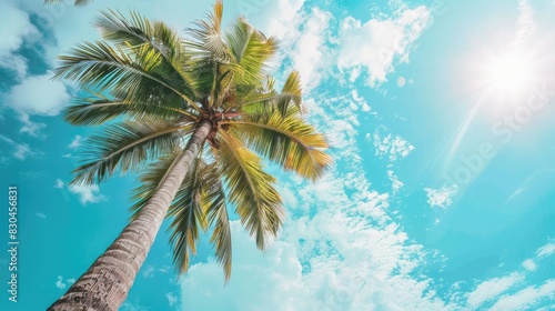Scenic view featuring coconut tree and tropical sky