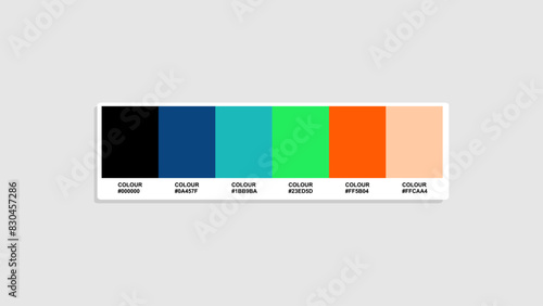 modern Color Guide Palette with Color Names. Catalog Samples colour with RGB HEX codes and Names. Poster and background Colors Palette Vector, Poster Color Palette, Fashion Trend playful Color Palette