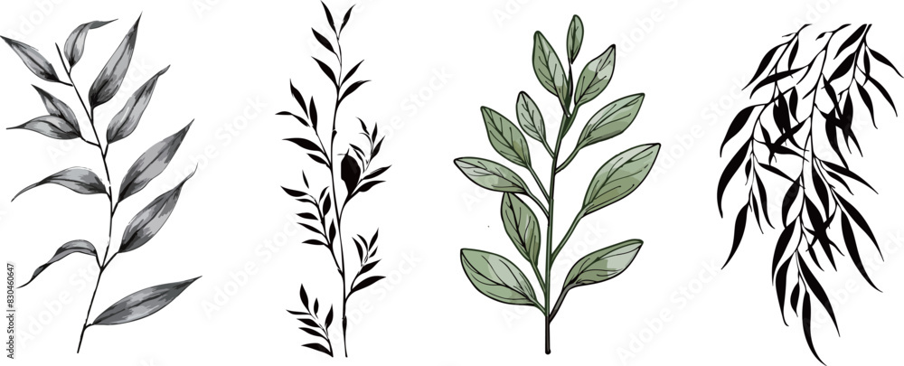 Minimalist Botanical Illustrations Minimalist Botanical Illustrations