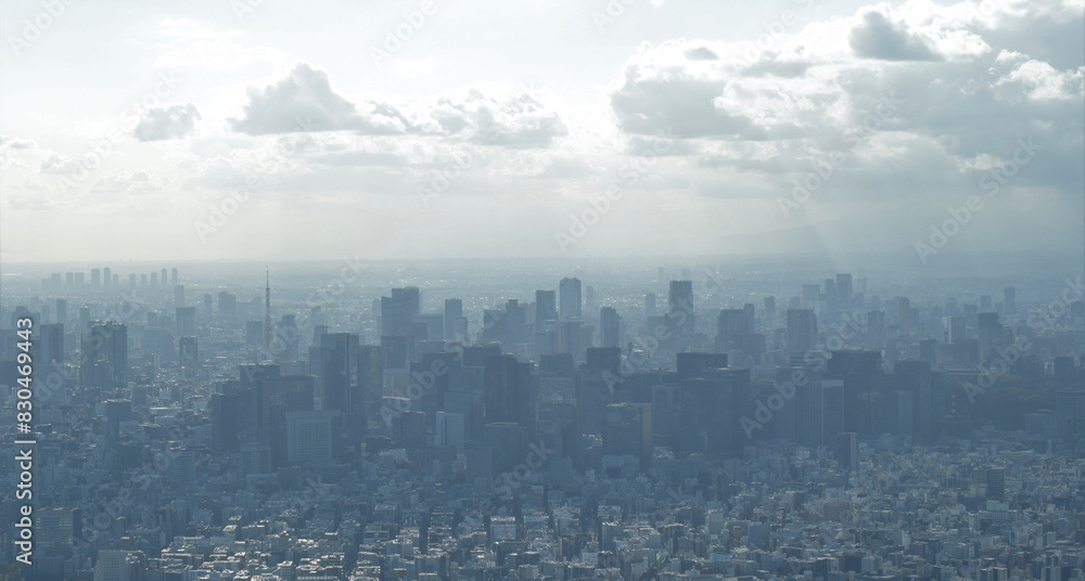 東京の街並みと東京タワー、東京の町並みとビジネス街、東京の町並みの上空撮影