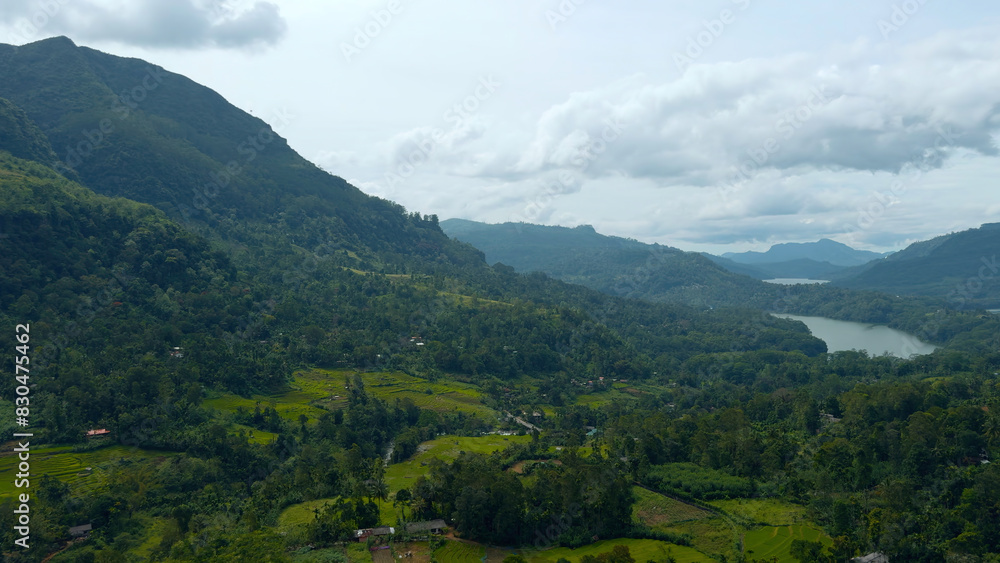 Aerial view of forest with lush tropical vegetation. Action. Giant forested green mountains and cloudy sky.