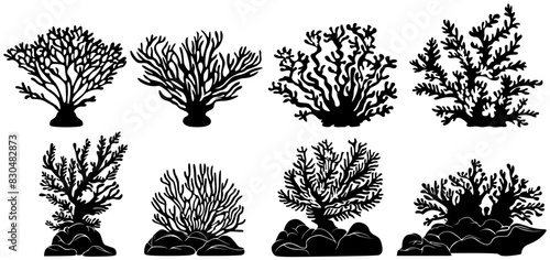 set black Tropical coral silhouette icon. sea coral symbol design vector illustration photo