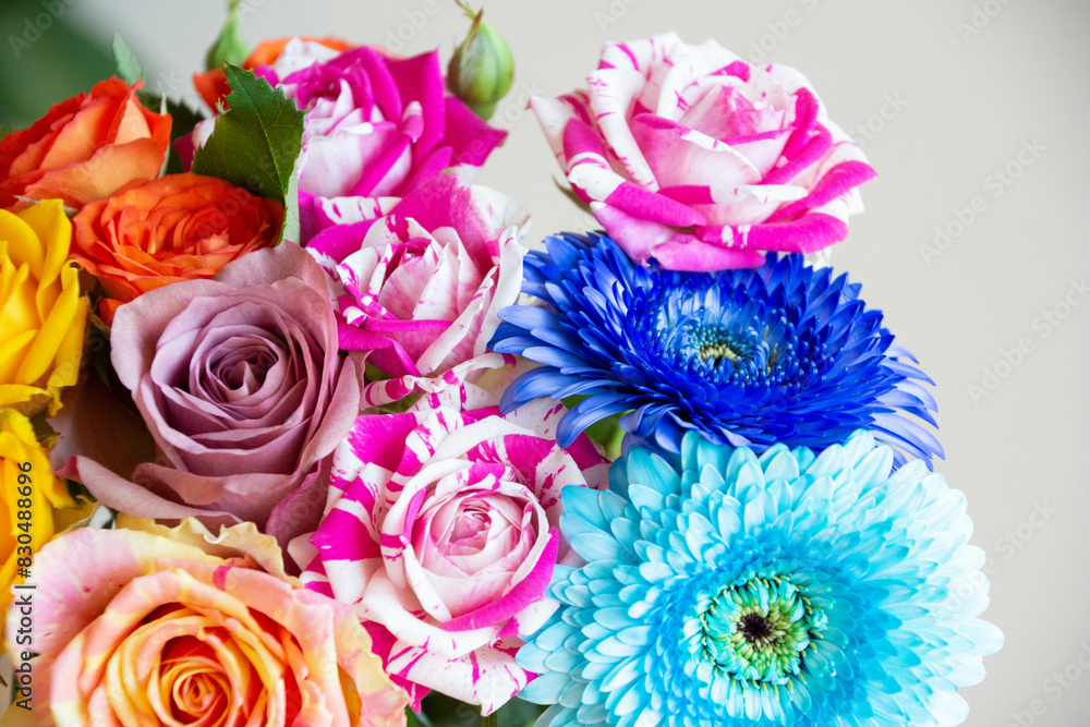 Fototapeta premium 色とりどりの花