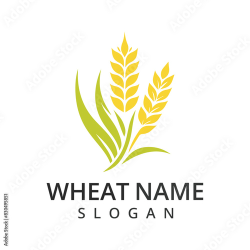 Wheat logo Concept for agriculture organic cereal products bread and bakery factory.