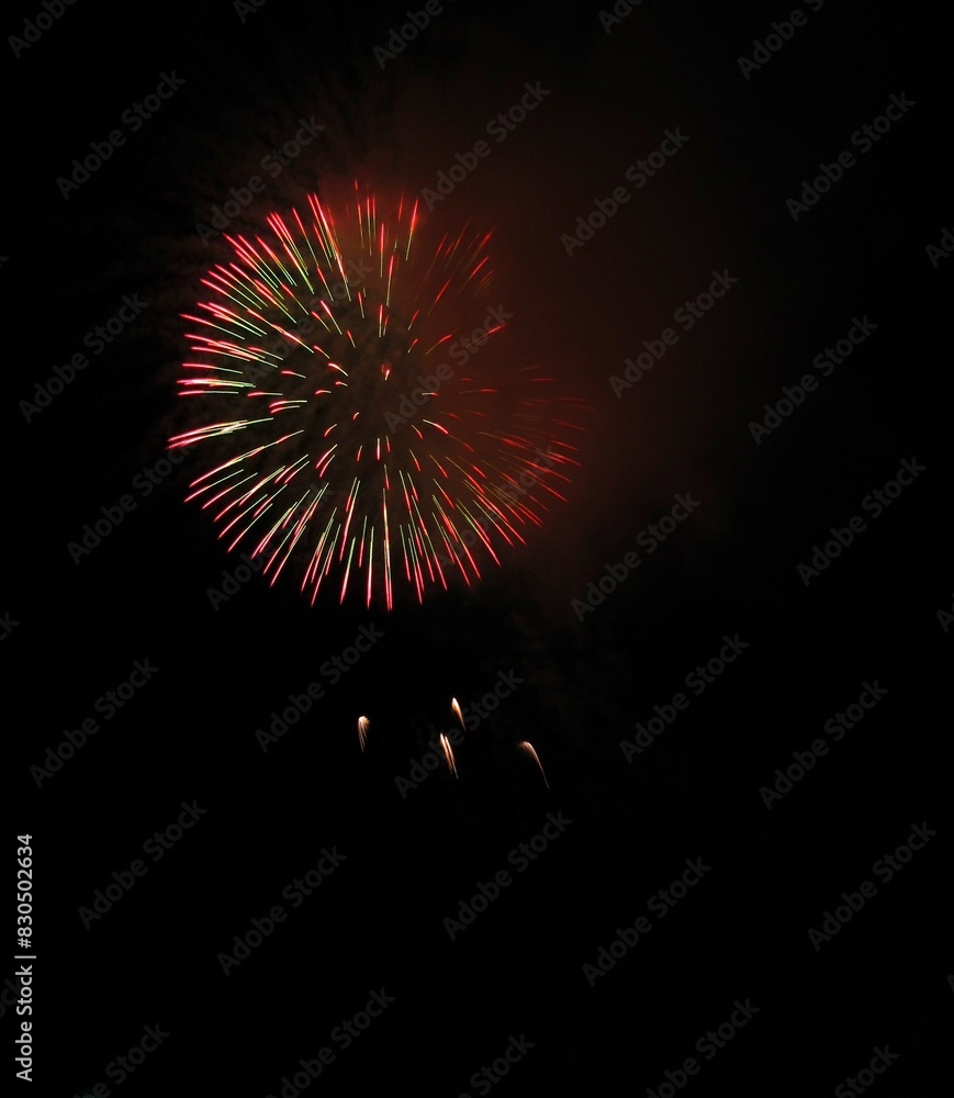 Fototapeta premium 打上げ花火