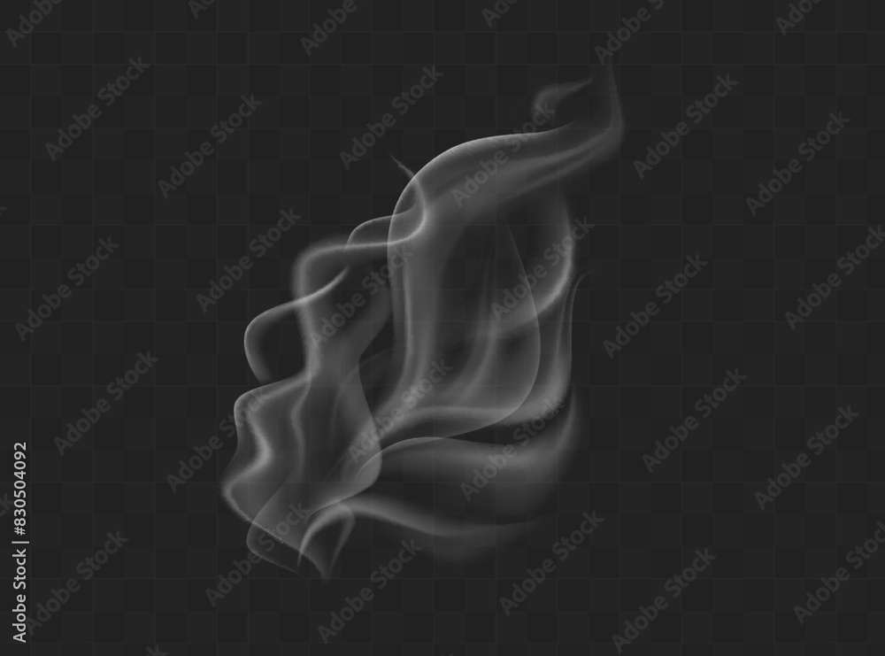 Fototapeta premium Smoke vector collection. White isolated cigarette smoke. Transparent special effect. Vector illustration.