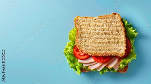 Sandwich loaf bread baked with beef, tomato, lettuce and cheese, copy space background