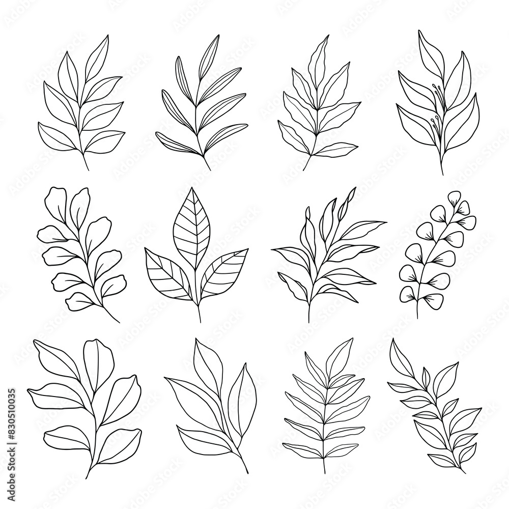 Set of leaves illustration vector Set of leaves illustration vector