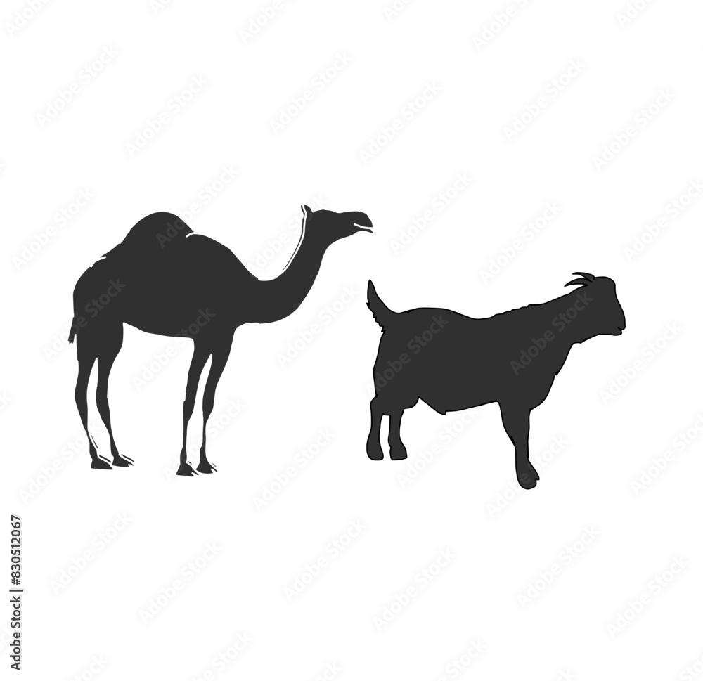Fototapeta premium Camel and goat
