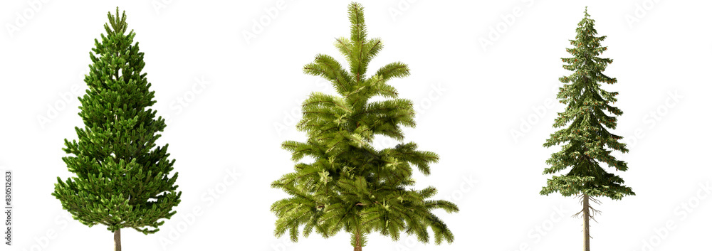Isolated Highly Detailed Pine Trees On Natural Daylight Collection Group of Trees Highly Realistic Cutout High-Res Set Transparent Background 3D Rendering Isolated Highly Detailed Pine Trees On Natural Daylight Collection Group of Trees Highly Realistic Cutout High-Res Set Transparent Background 3D Rendering
