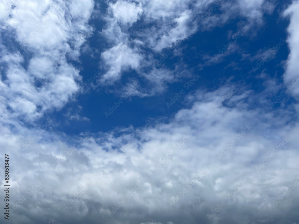 Obraz premium sky garden party