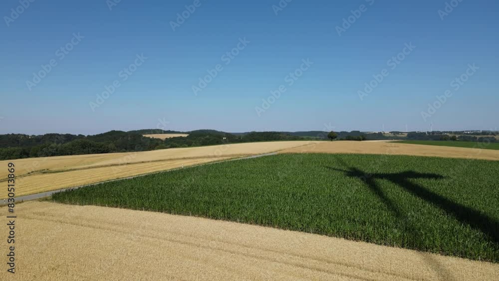 Aerial view of wheat fields and corn fields in summer Aerial view of wheat fields and corn fields in summer