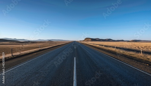 A long  straight road disappears into the horizon under a clear blue sky. The road is flanked by dry  grassy fields.