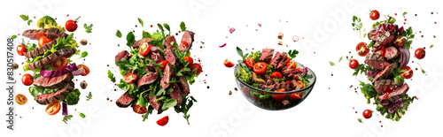 Set of Grilled Steak Salad with Fresh Herbs and Vegetables. Cut Out, Isolated on Transparent Background
