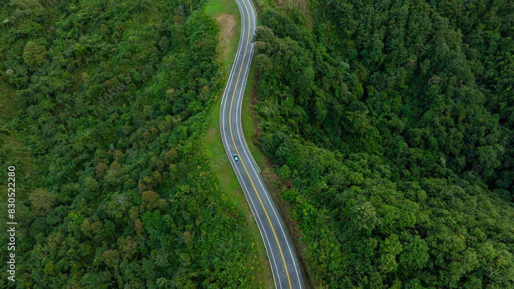 Aerial view of dark green forest road and white electric car Natural landscape and elevated roads Adventure travel and transportation and environmental protection concept Aerial view of dark green forest road and white electric car Natural landscape and elevated roads Adventure travel and transportation and environmental protection concept