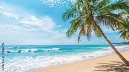 Panoramic beach scene with coconut palms and turquoise waters under a clear blue sky  perfect for vacation and relaxation themes.