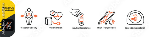 Symptoms of Metabolic Syndrome banner web icon vector illustration concept with an icon of Hypertension, Insulin Resistance, High Triglycerides, Low HDL-Cholesterol, Visceral Obesity