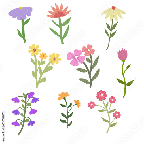 set of hand drawn flowers