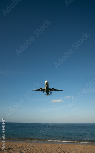Landing passenger jet airplane at daytime.