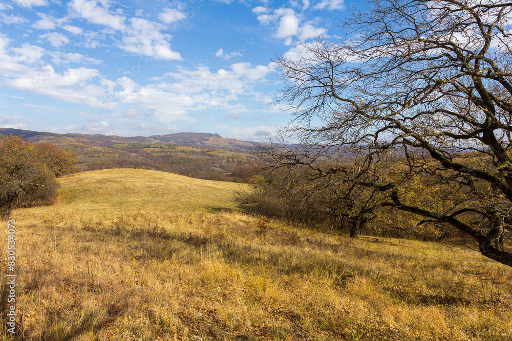 the beginning of autumn, walks in the highlands, panoramic views and the seasonal state in nature and the colors of autumn the beginning of autumn, walks in the highlands, panoramic views and the seasonal state in nature and the colors of autumn