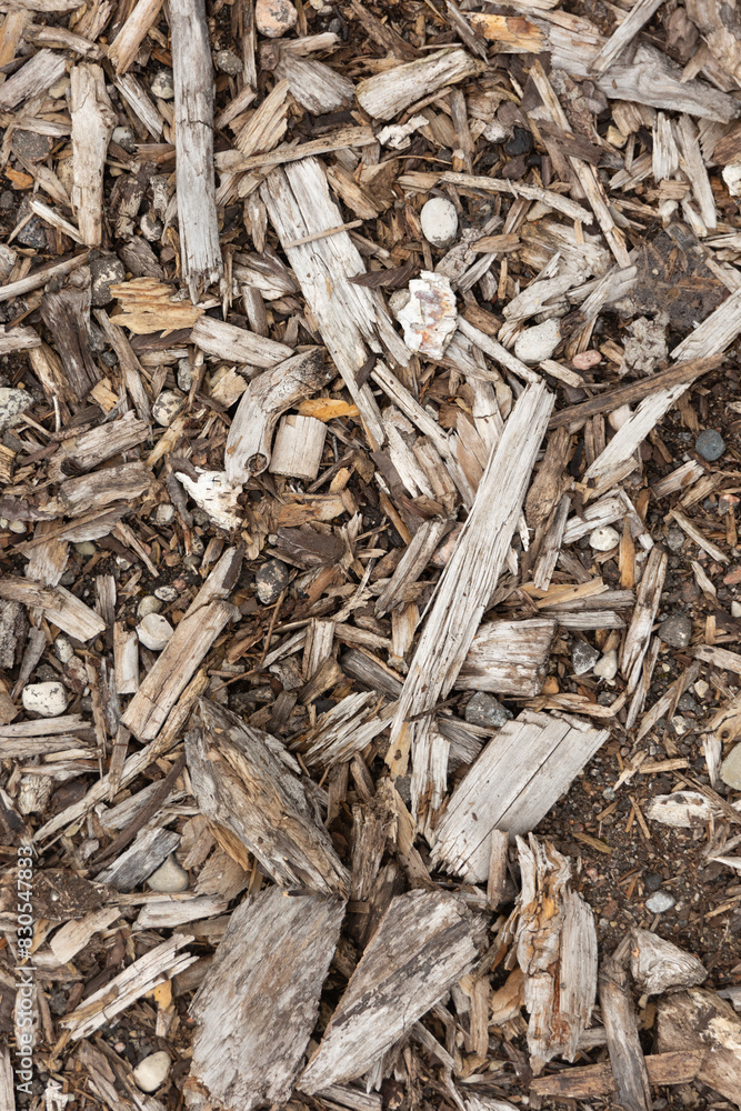 A beautiful wood chip texture on the ground. Outdoors textures of countryside. A beautiful wood chip texture on the ground. Outdoors textures of countryside.
