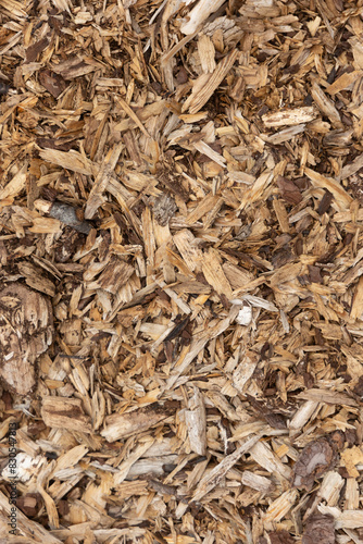 A beautiful wood chip texture on the ground. Outdoors textures of countryside.