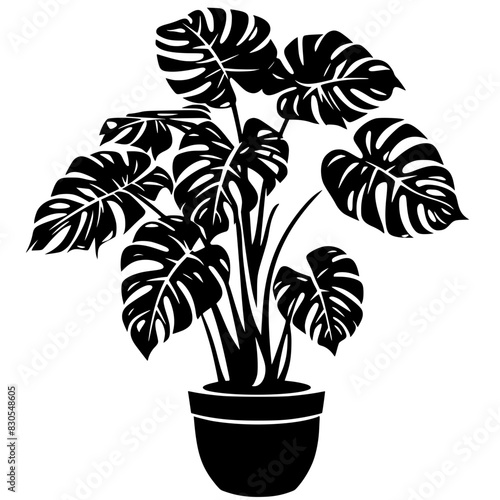 Monstera Deliciosa Silhouette in Pot, Black and white silhouette of a Monstera Deliciosa plant in a pot, showcasing its distinct leaves.