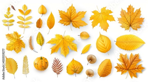 Add a touch of seasonal charm with these realistic autumn leaf decorations, perfect for fall home decor promotions. photo