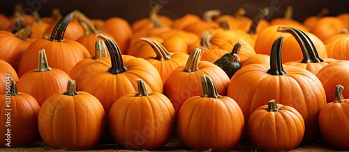 A copy space image of pumpkins creating a perfect background for thanksgiving christmas and halloween themes photo