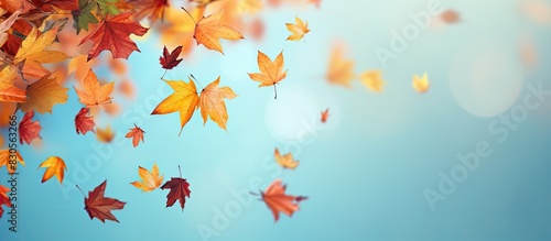 A colorful copy space image of falling leaves in the autumn season photo