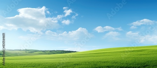 A picturesque scene with a lush green field extending beneath a clear blue sky providing ample copy space for images