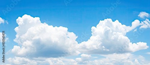 A warm sunny day with a clear blue sky and fluffy white clouds is captured in the copy space image