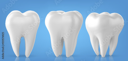 Dental model of a tooth, illustration as a concept of dental examination of teeth, dental health and hygiene. photo