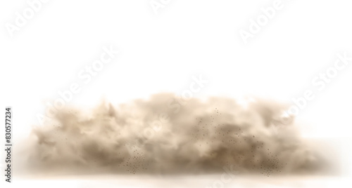 Dust cloud with particles with dirt,cigarette smoke, smog, soil and sand particles. Realistic vector isolated on white background.