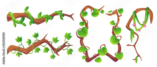 Long liana vine and rectangular frame with green leaves and flowers. Jungle plant branches for game ui design. Cartoon vector illustration set of rainforest ivy creeper. Vegetation twig with foliage.