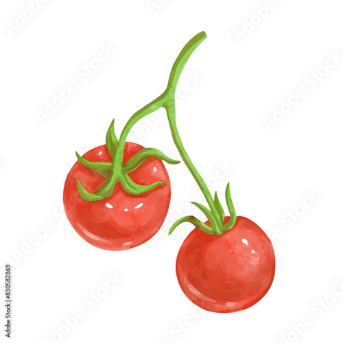 Juicy, ripe red tomato vegetable. Vector graphics.