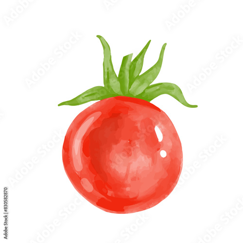 Juicy, ripe red tomato vegetable. Vector graphics.
