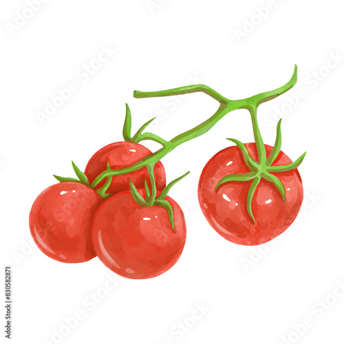 Juicy, ripe red tomato vegetable. Vector graphics.