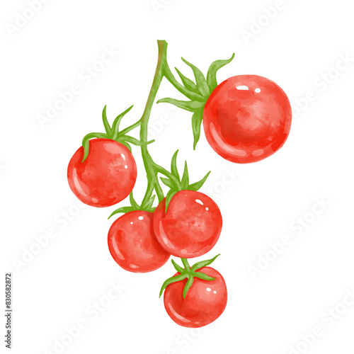 Juicy, ripe red tomato vegetable. Vector graphics.