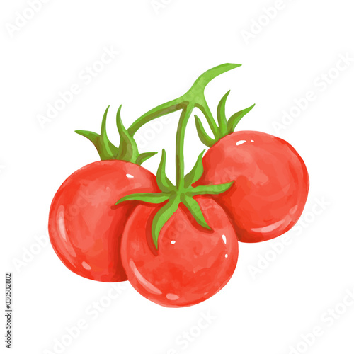 Juicy, ripe red tomato vegetable. Vector graphics.