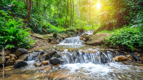  A small waterfall, situated in a forest filled with abundant rocks and greenery, is a stream of water coursing through the rocks