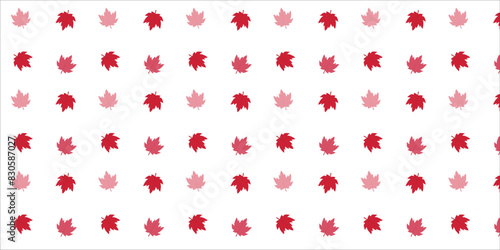 Canada day red, maple, leaf, pattern banner or poster design template celebrated in 1 July. Canada independence day on white background vector illustration