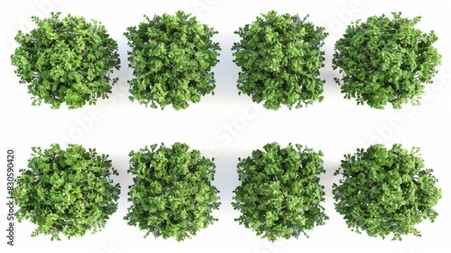 Top View of Green Bushes, Generative AI