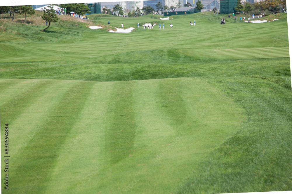 Fototapeta premium View of the green golf course