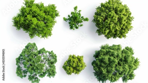 Top view of various green trees  Generative AI