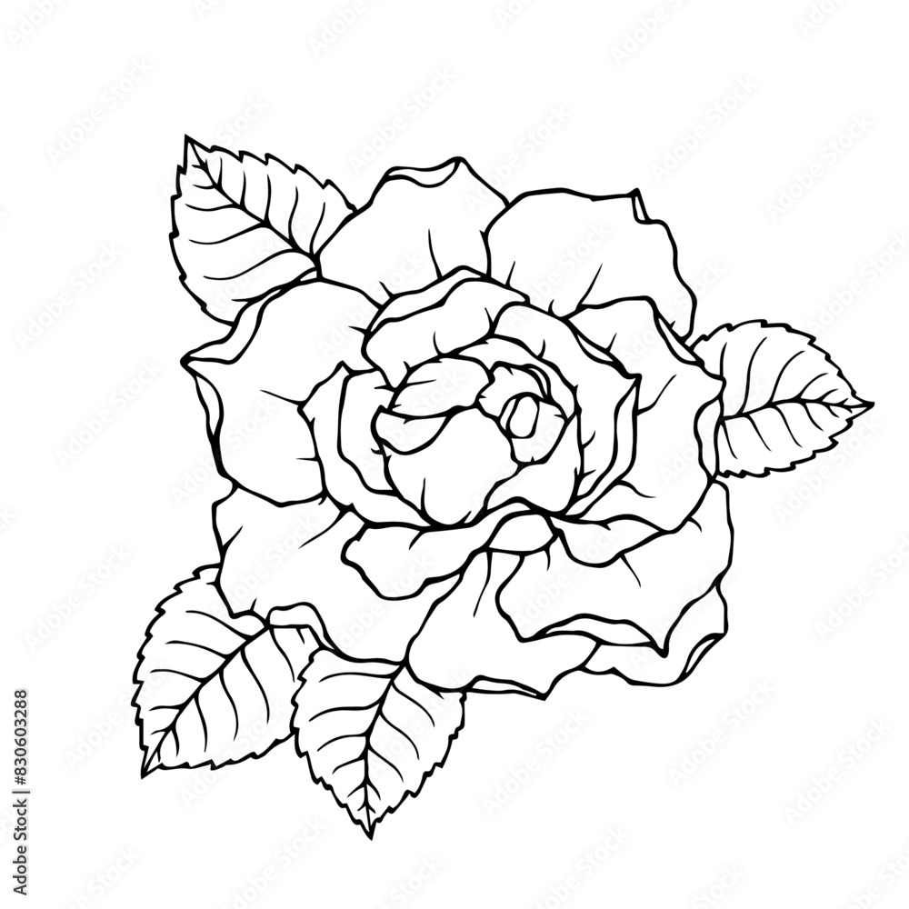 Linear sketch, outline of a rose flower. Vector graphics. Linear sketch, outline of a rose flower. Vector graphics.
