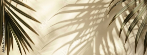 Minimal Palm Leaf Shadow Patterns on Soft Mint Green Wall - Elegant Summertime or Springtime Product Display Background