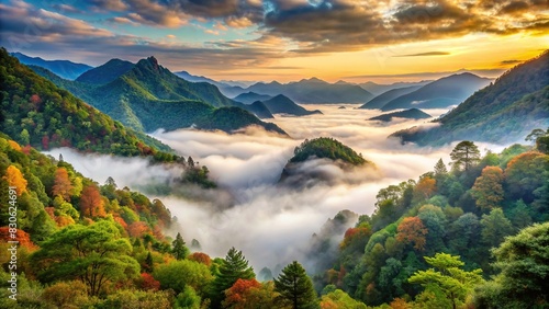 Foggy mountain valley with lush foliage photo